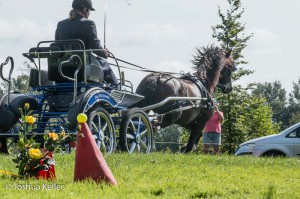 dressuur en vaardigheid  nienoord 10-8-2015  joshua keller-0067      